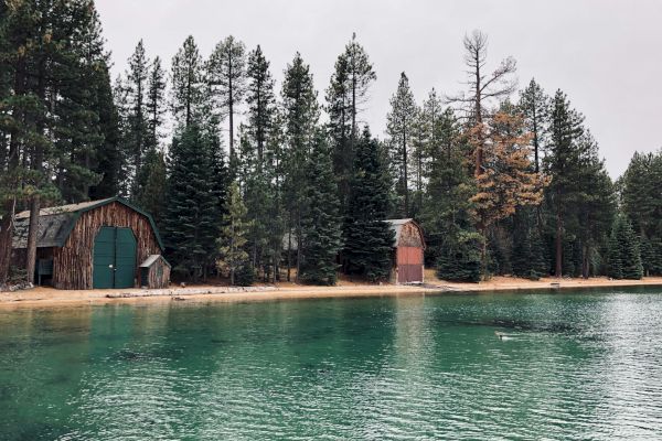 A tranquil lake with clear green water, surrounded by tall evergreen trees, and two rustic wooden cabins on the shoreline.