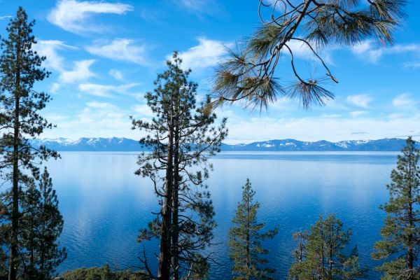 A scenic view of a lake with pine trees in the foreground, mountains in the distance, and a partly cloudy sky reflecting on the water.