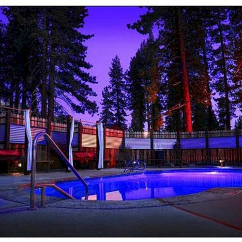 A serene nighttime view of a swimming pool surrounded by tall trees and a fence, with vibrant lighting illuminating the pool and area.
